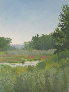 Meeker Swamp at Macricostas Preserve