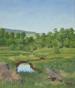 Bee Brook at Macricostas Preserve