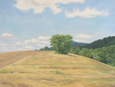 Hayed Field at Macricostas Preserve