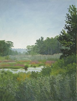 Meeker Swamp at Macricostas Preserve